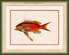Red Coral Perch Art on Canvas in a Green Bijou Frame with watermark info.